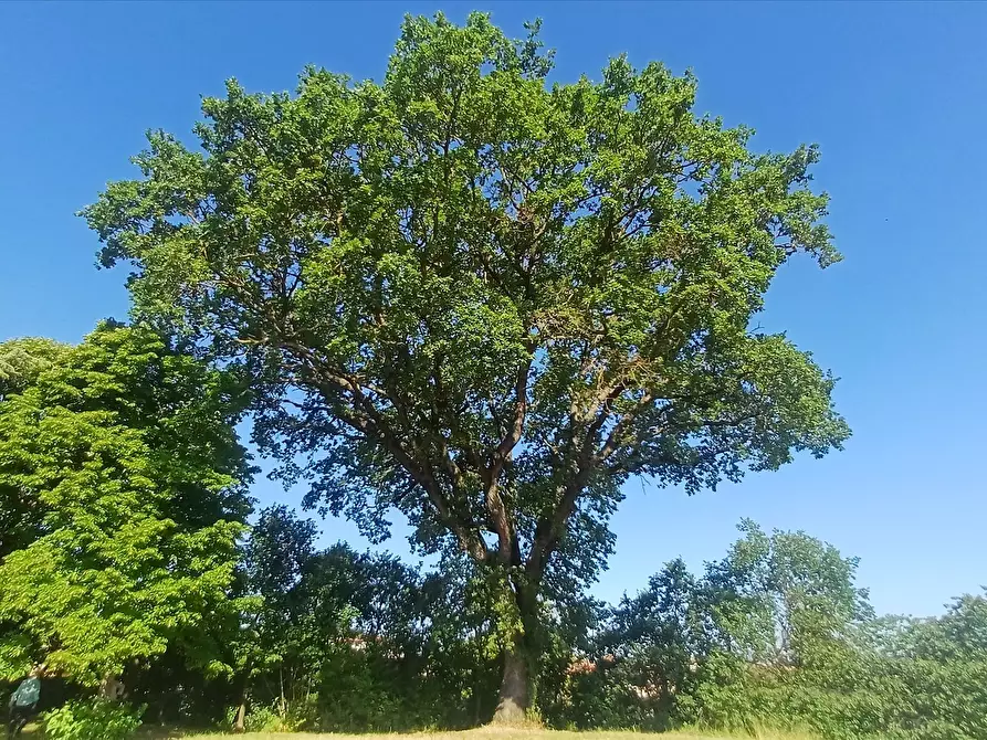 Immagine 6 di Rustico / casale in vendita  in via Cocconi, 25 a Montepulciano