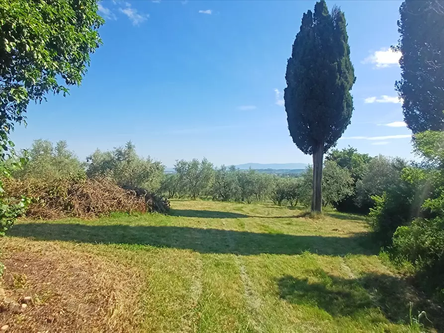 Immagine 7 di Rustico / casale in vendita  in via Cocconi, 25 a Montepulciano