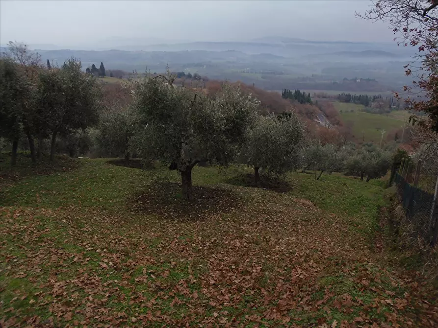 Immagine 10 di Terreno agricolo in vendita  a Sarteano