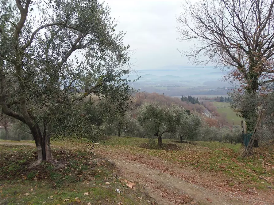 Immagine 6 di Terreno agricolo in vendita  a Sarteano
