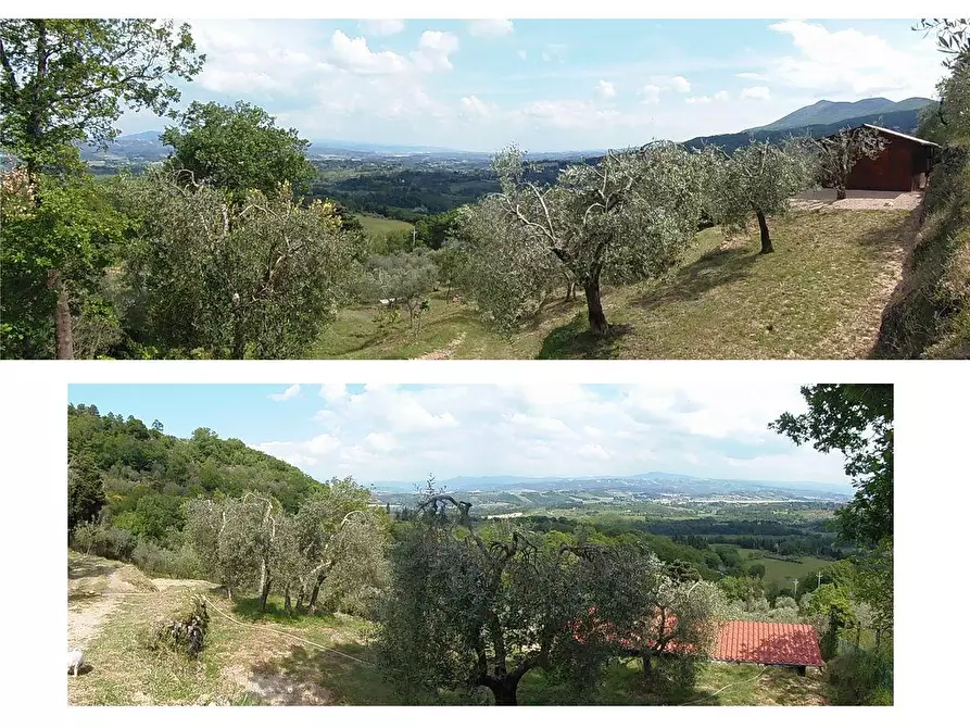 Immagine 7 di Terreno agricolo in vendita  a Sarteano