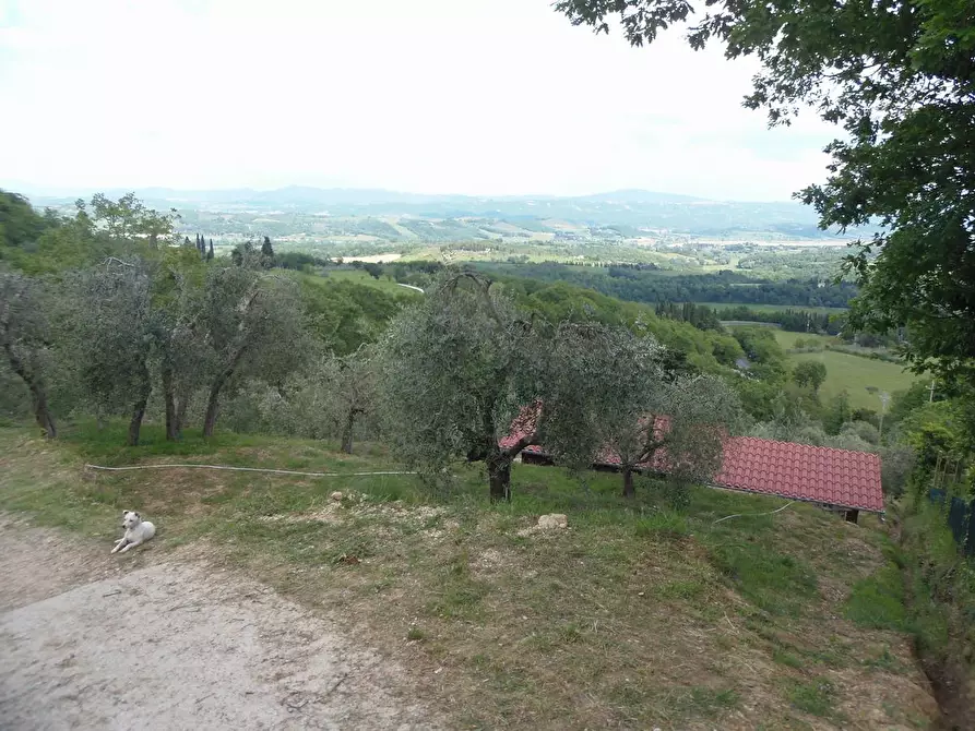 Immagine 8 di Terreno agricolo in vendita  a Sarteano