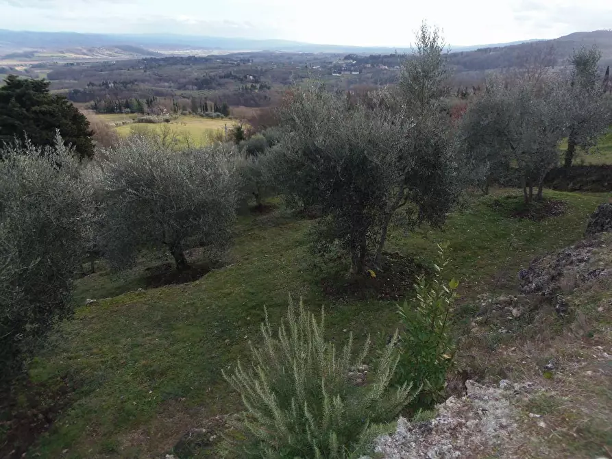 Immagine 9 di Terreno agricolo in vendita  a Sarteano