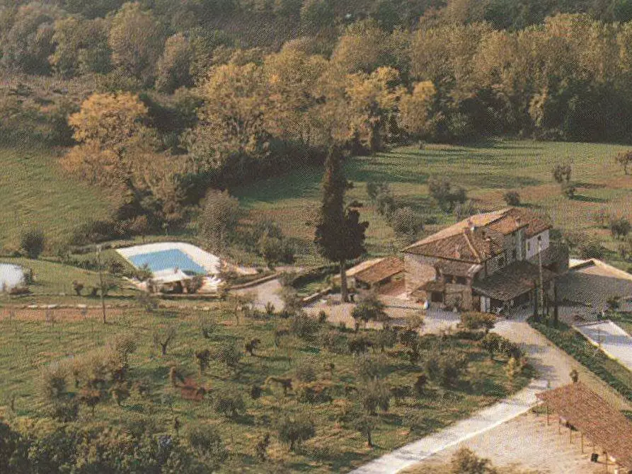 Immagine 8 di Agriturismo in vendita  a Barberino Val D'elsa