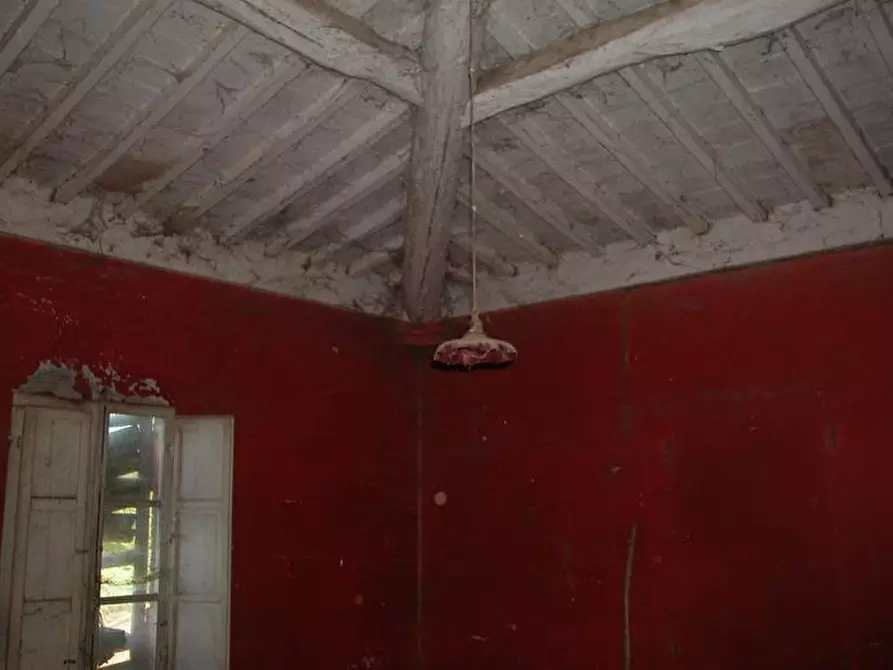 Immagine 6 di Rustico / casale in vendita  a Sinalunga