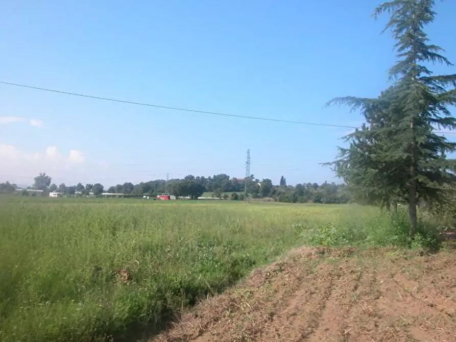 Immagine 9 di Rustico / casale in vendita  a Sinalunga