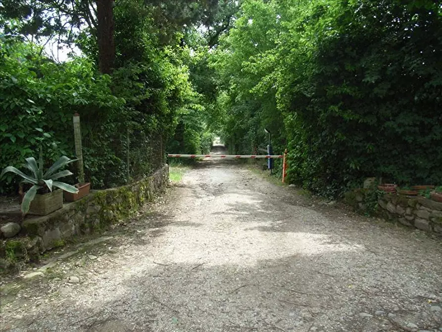 Immagine 5 di Villa in vendita  a Castelfranco Piandiscò