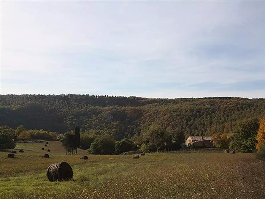 Immagine 5 di Rustico / casale in vendita  a Sarteano