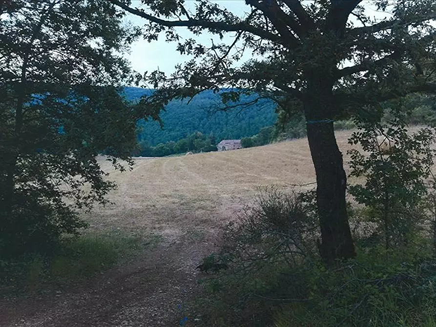Immagine 8 di Rustico / casale in vendita  a Sarteano
