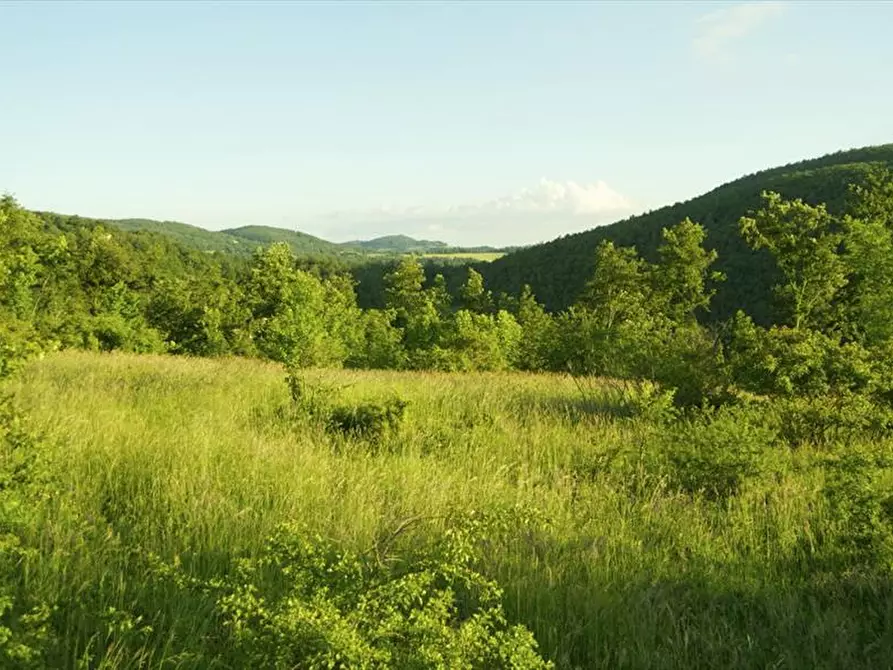 Immagine 9 di Rustico / casale in vendita  a Sarteano