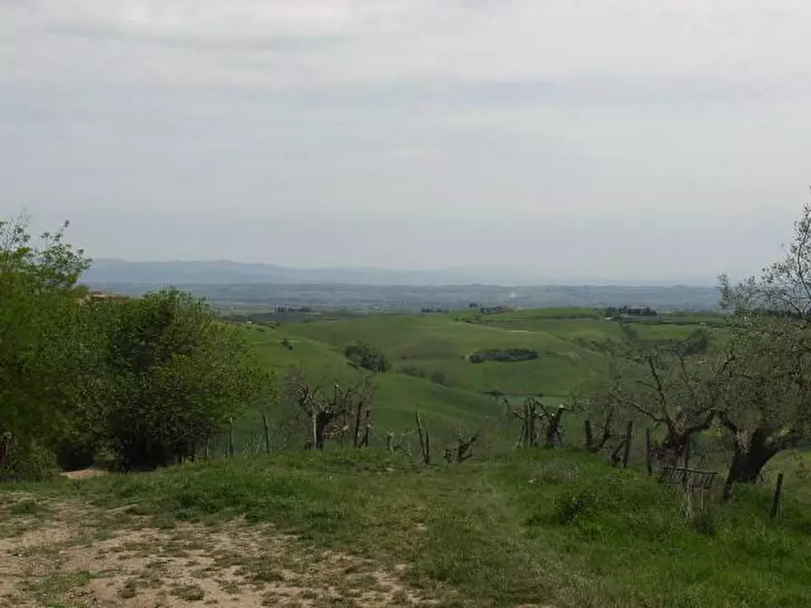 Immagine 2 di Rustico / casale in vendita  a Torrita Di Siena