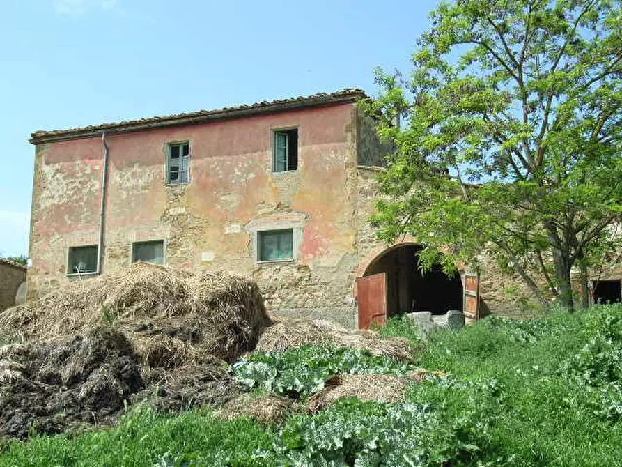 Immagine 4 di Rustico / casale in vendita  a Torrita Di Siena