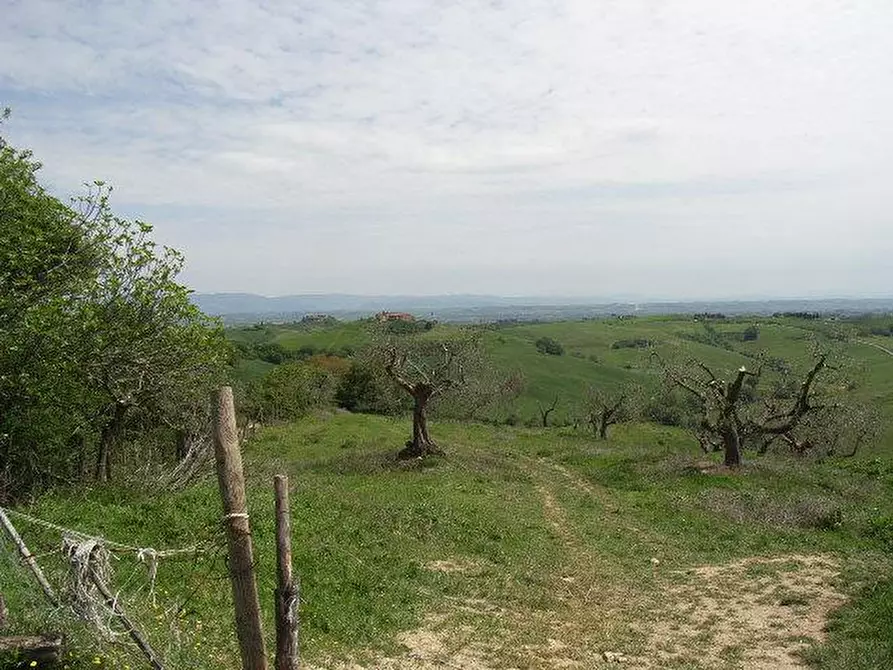 Immagine 6 di Rustico / casale in vendita  a Torrita Di Siena