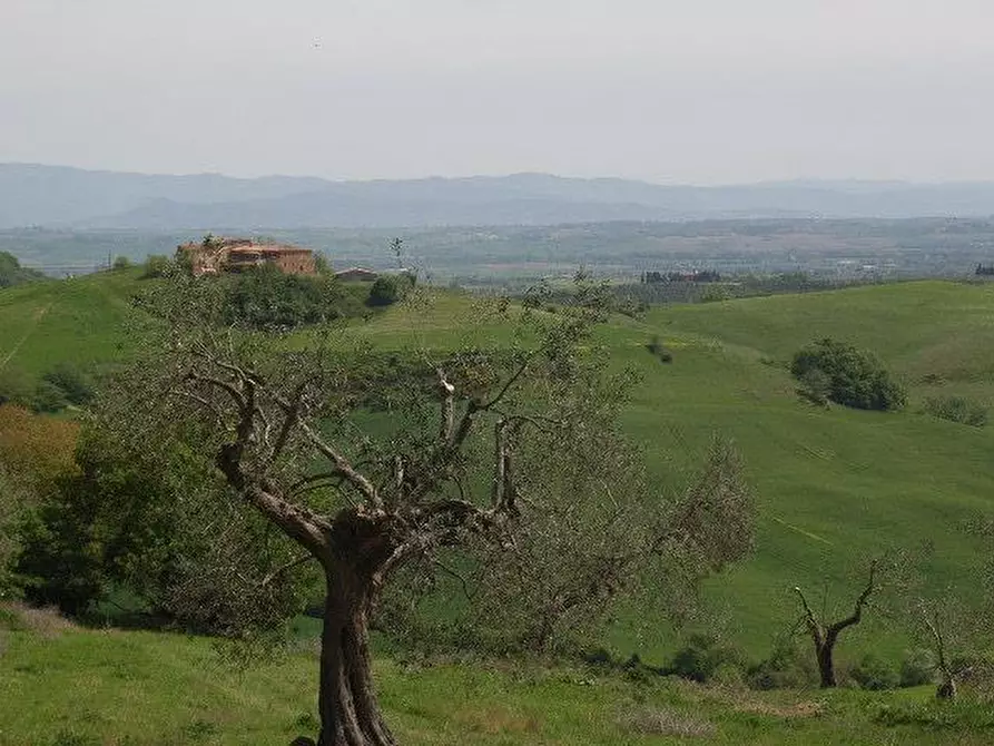 Immagine 7 di Rustico / casale in vendita  a Torrita Di Siena