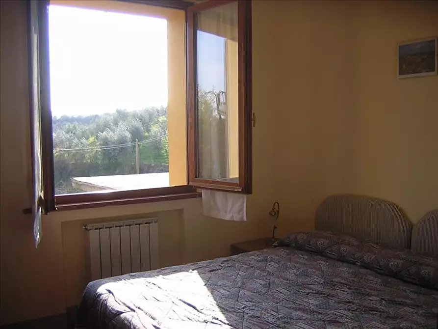 Immagine 6 di Azienda agricola in vendita  a Montepulciano