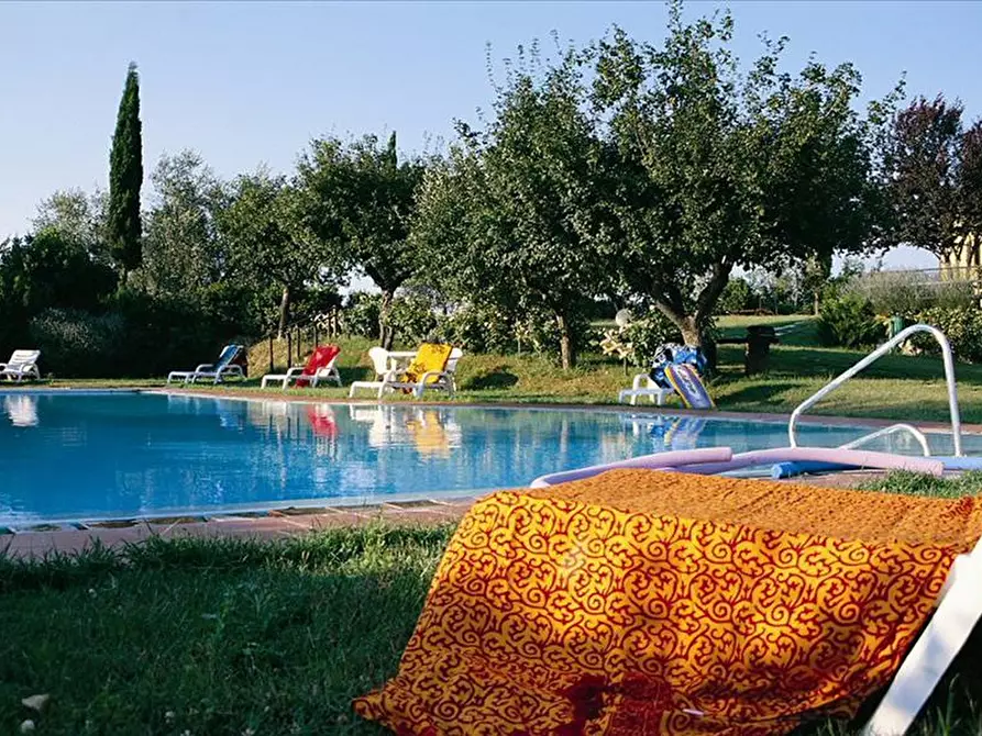 Immagine 8 di Azienda agricola in vendita  a Montepulciano