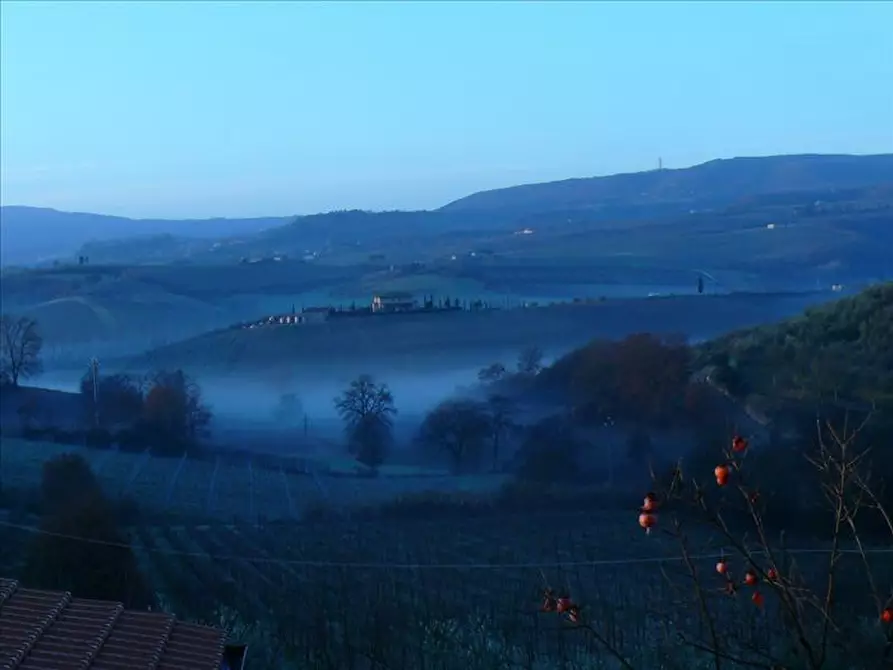 Immagine 9 di Azienda agricola in vendita  a Montepulciano