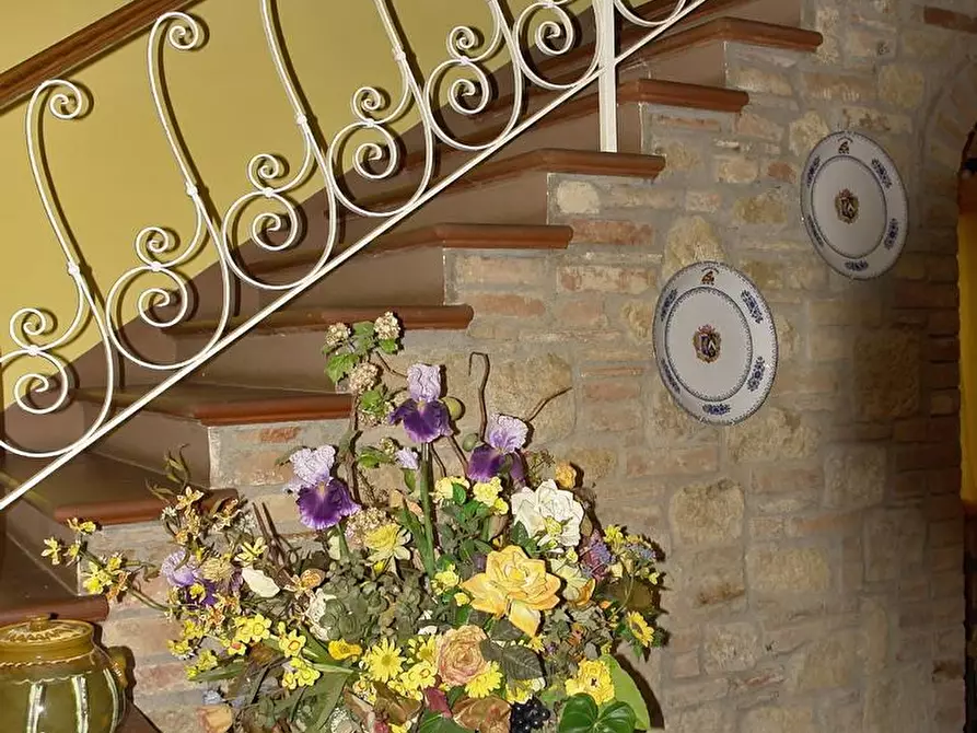 Immagine 6 di Rustico / casale in vendita  a Pienza