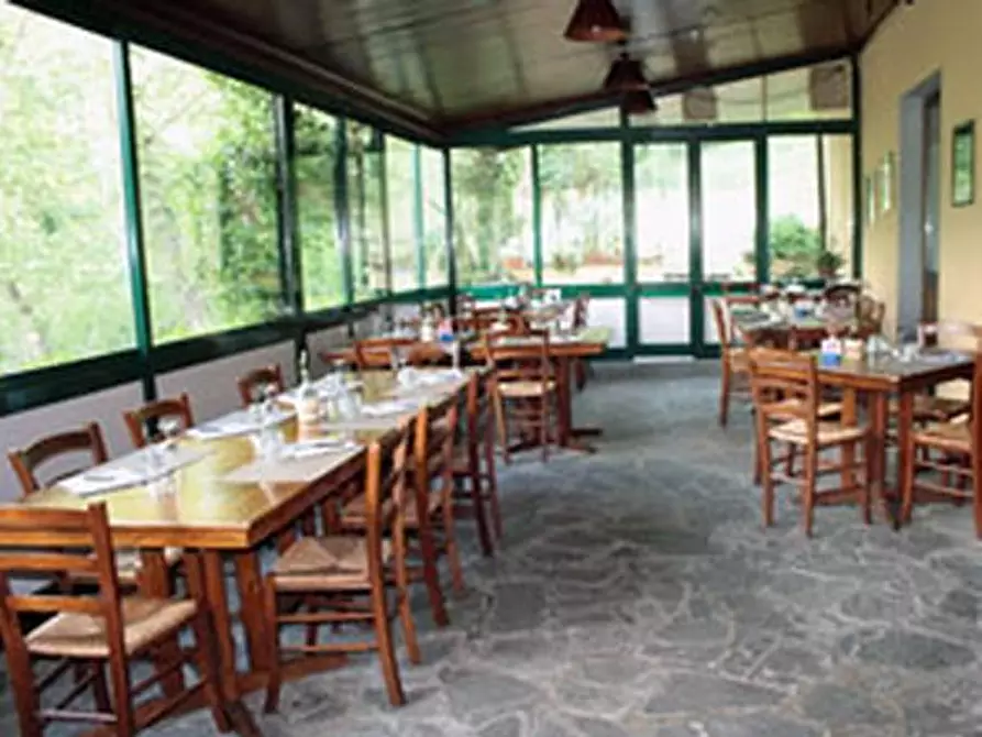 Immagine 4 di Licenza in vendita  a Greve In Chianti