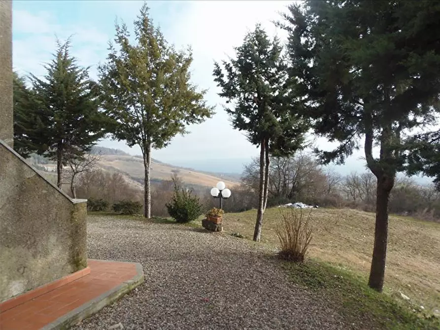 Immagine 2 di Appartamento in vendita  a Radicofani