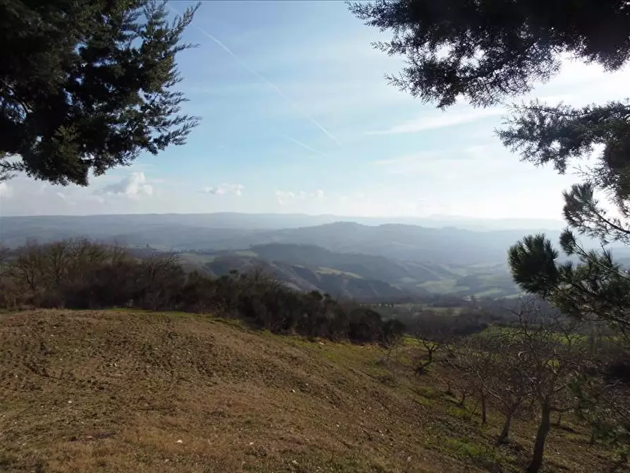 Immagine 5 di Appartamento in vendita  a Radicofani