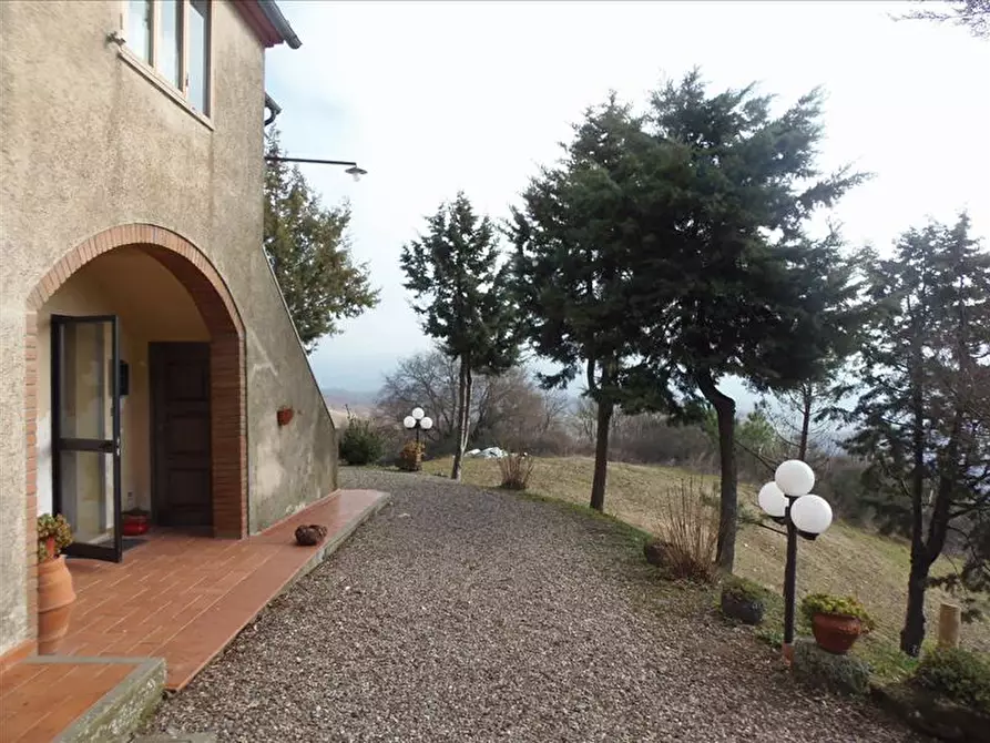 Immagine 6 di Appartamento in vendita  a Radicofani