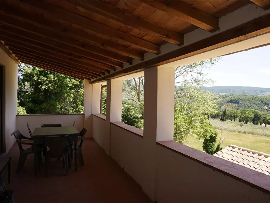 Immagine 2 di Azienda agricola in vendita  a Radicofani