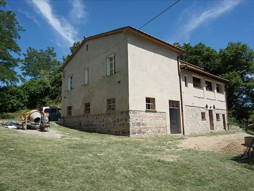 Immagine 3 di Azienda agricola in vendita  a Radicofani