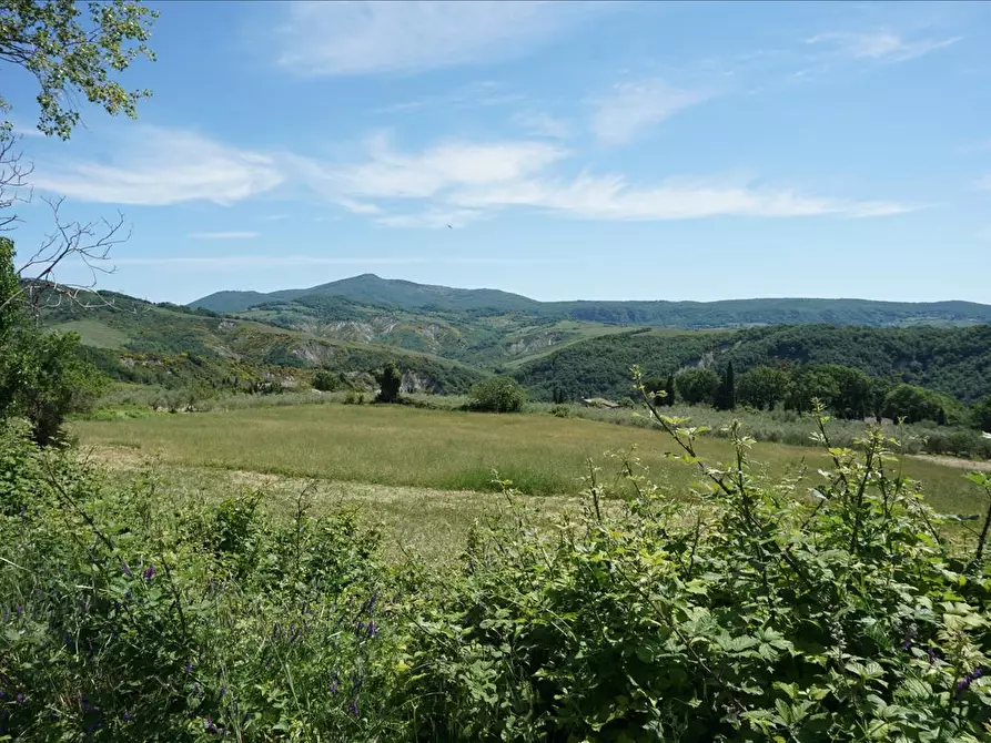 Immagine 4 di Azienda agricola in vendita  a Radicofani