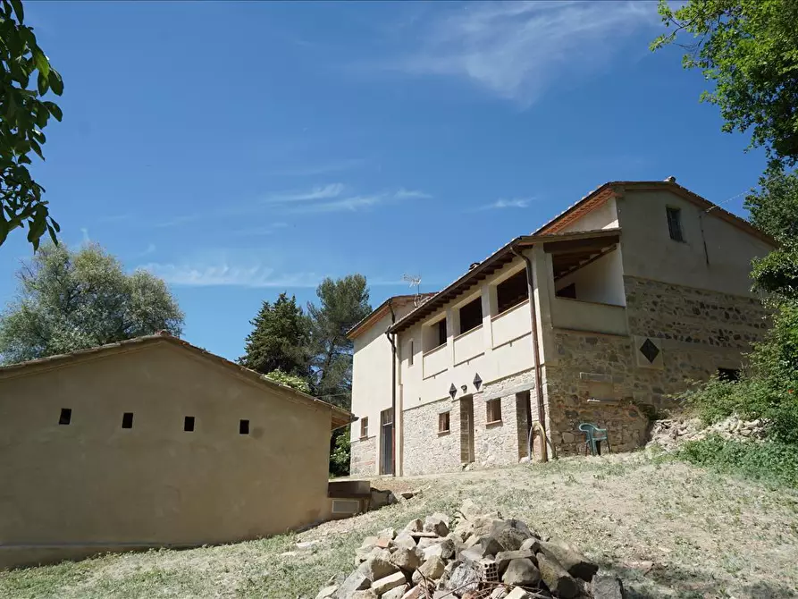 Immagine 5 di Azienda agricola in vendita  a Radicofani