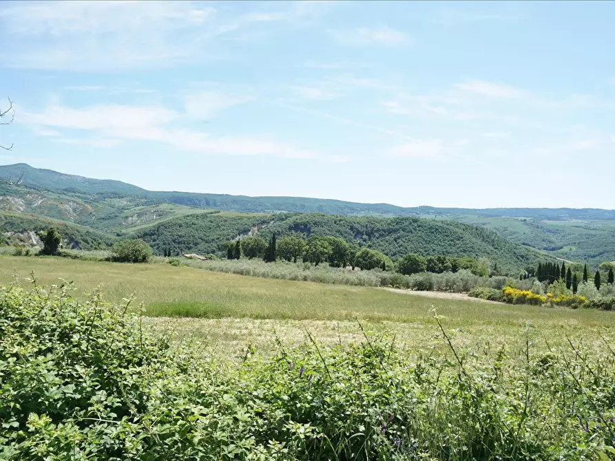 Immagine 6 di Azienda agricola in vendita  a Radicofani