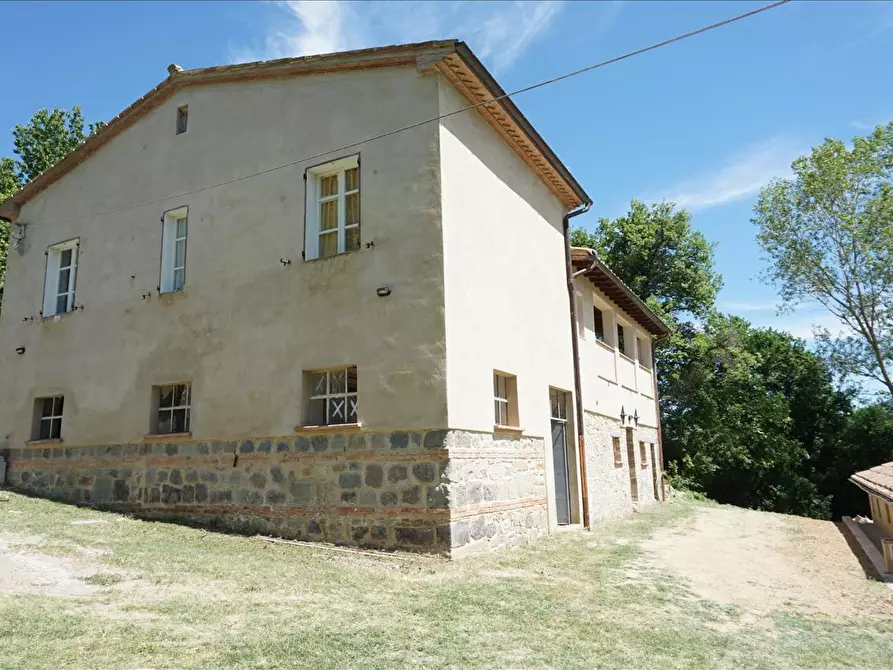 Immagine 7 di Azienda agricola in vendita  a Radicofani