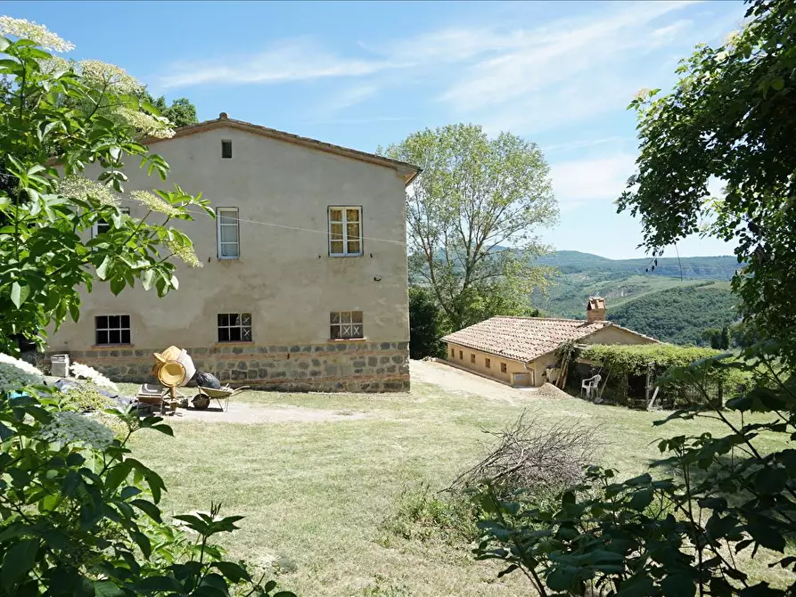 Immagine 8 di Azienda agricola in vendita  a Radicofani
