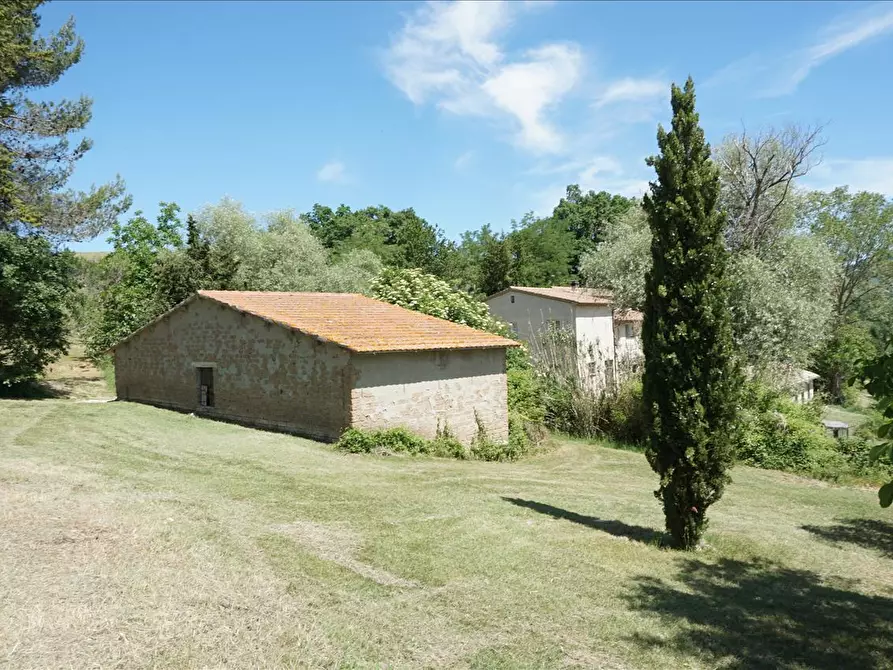 Immagine 9 di Azienda agricola in vendita  a Radicofani