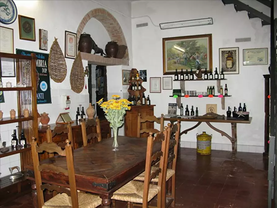 Immagine 3 di Palazzo in vendita  a Magione