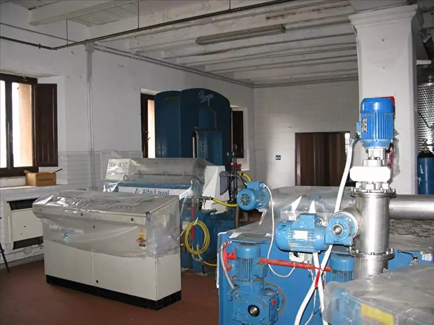 Immagine 6 di Palazzo in vendita  a Magione