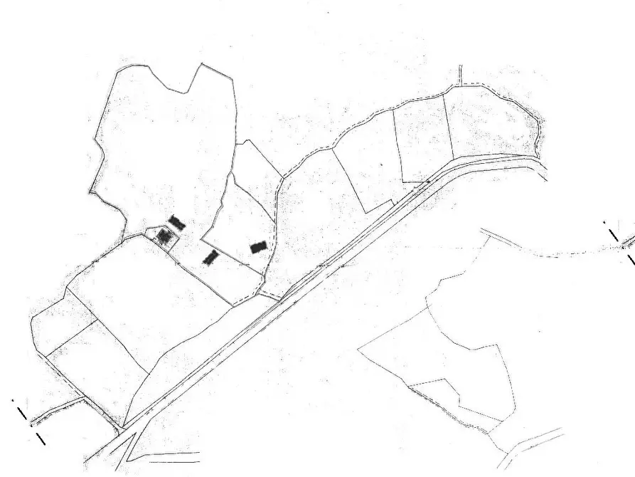 Immagine 13 di Azienda agricola in vendita  a Radicofani