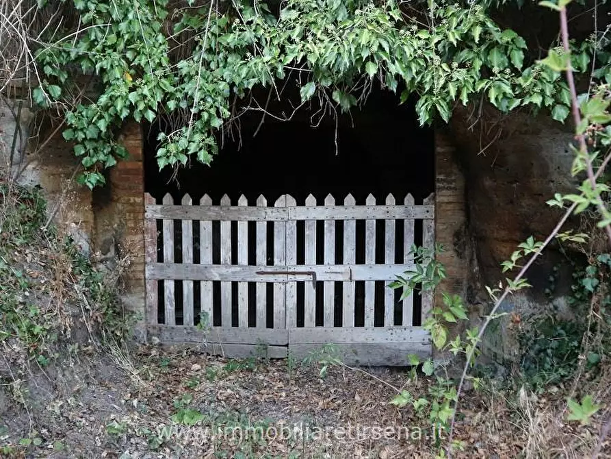 Immagine 6 di Rustico / casale in vendita  a Orvieto