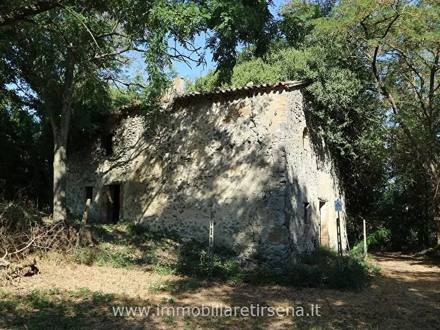 Immagine 2 di Rustico / casale in vendita  a Orvieto