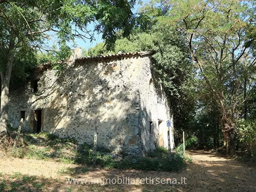 Immagine 3 di Rustico / casale in vendita  a Orvieto