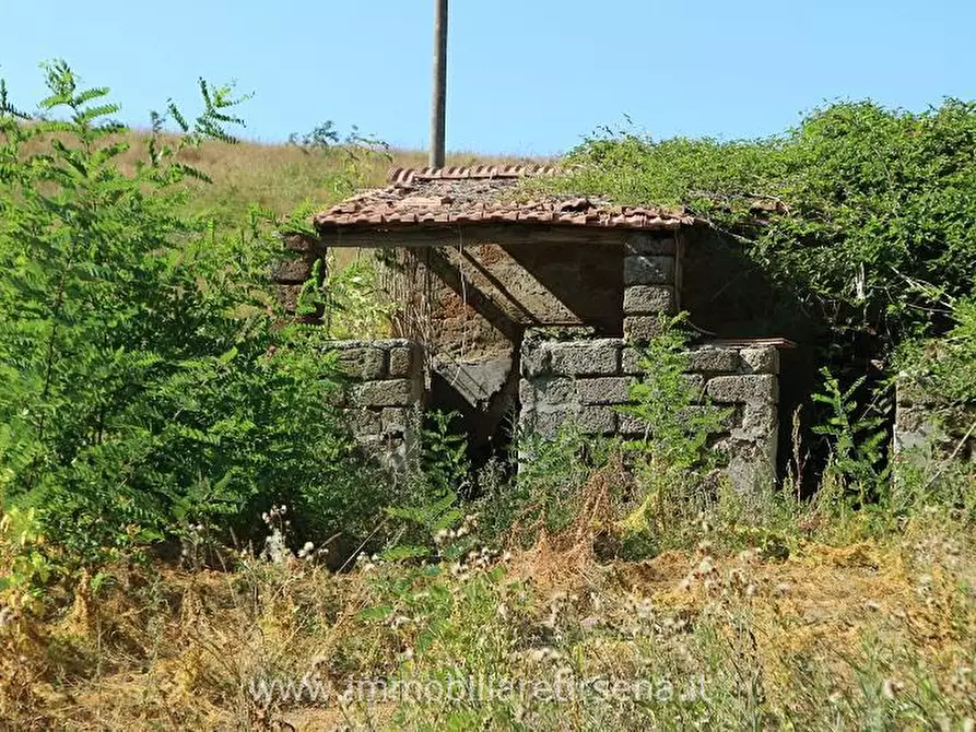 Immagine 4 di Rustico / casale in vendita  a Orvieto