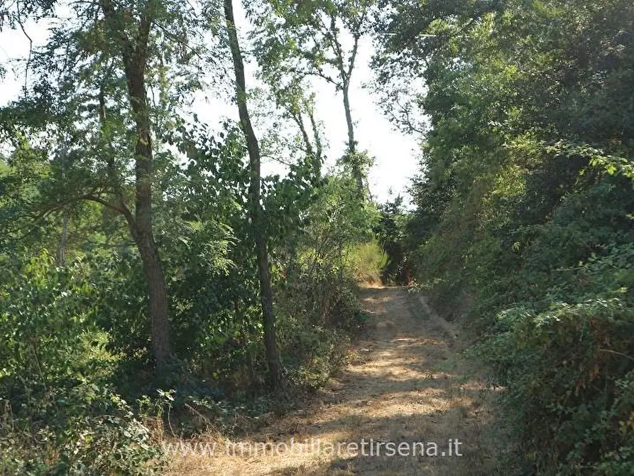 Immagine 5 di Rustico / casale in vendita  a Orvieto