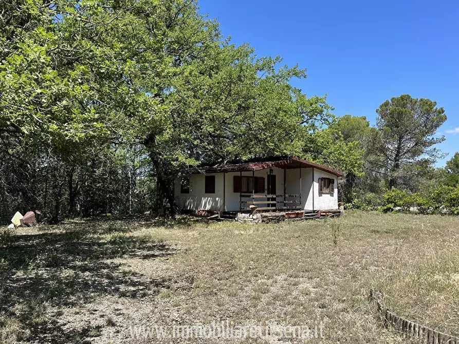 Immagine 9 di Villa in vendita  a Orvieto