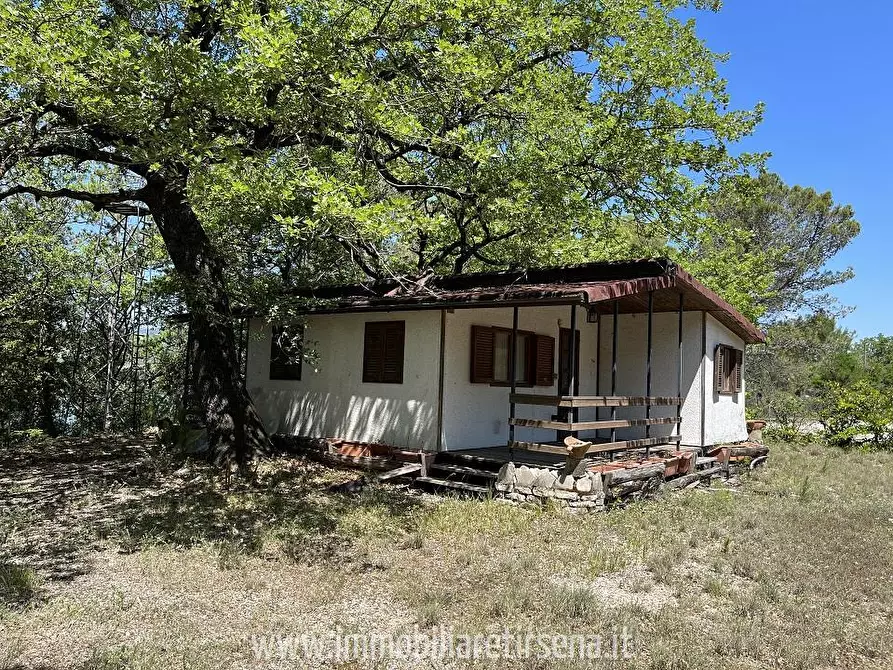 Immagine 10 di Villa in vendita  a Orvieto