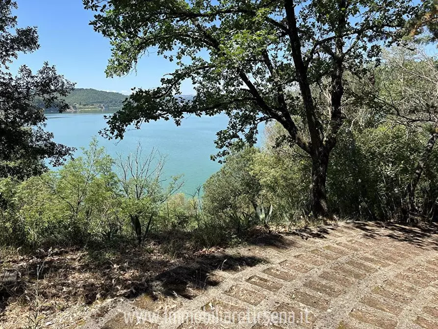 Immagine 4 di Villa in vendita  a Orvieto