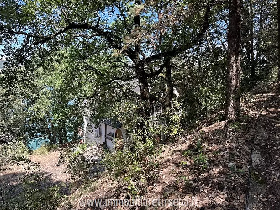 Immagine 8 di Villa in vendita  a Orvieto