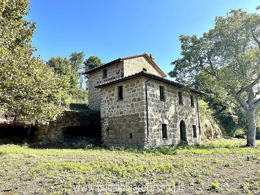 Immagine 2 di Rustico / casale in vendita  a Orvieto