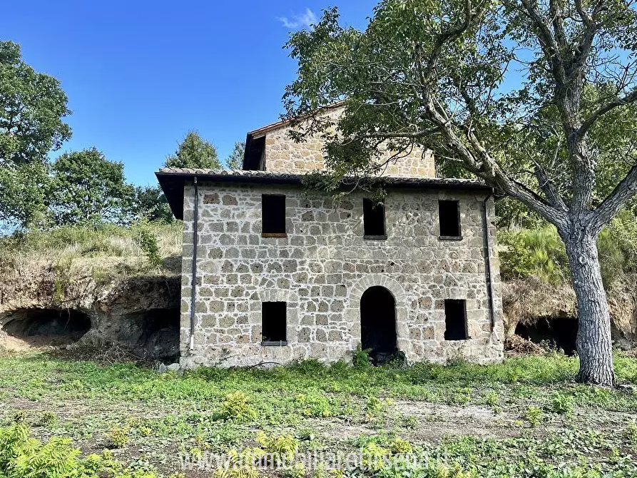Immagine 3 di Rustico / casale in vendita  a Orvieto