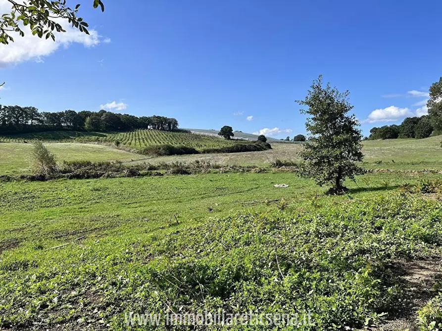 Immagine 4 di Rustico / casale in vendita  a Orvieto