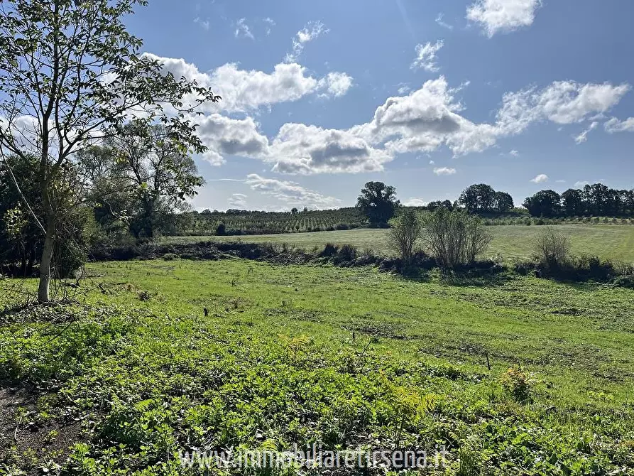Immagine 5 di Rustico / casale in vendita  a Orvieto